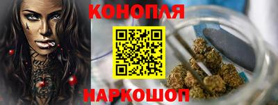 крисы Сланцы