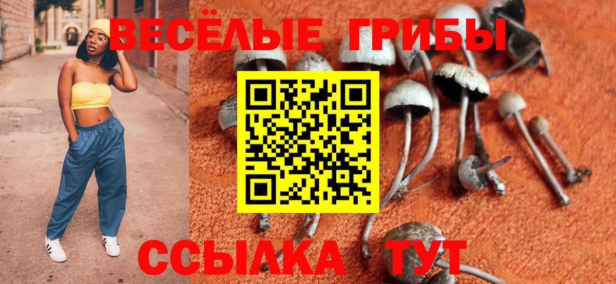 Саянск  купить наркотик  Псилоцибиновые грибы мухоморы  Вход с VPN  Галлюциногенные грибы ЛСД 